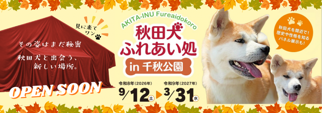 秋田犬ふれあい処in千秋公園