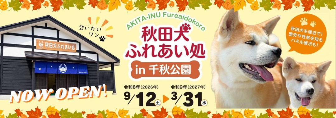 秋田犬ふれあい処in千秋公園