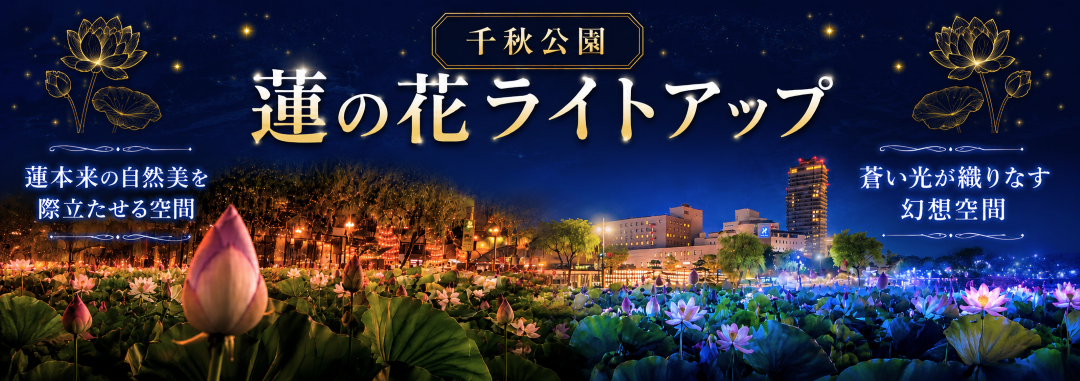 千秋公園蓮の花ライトアップ