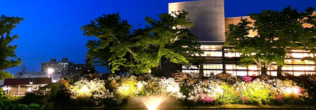 千秋公園つつじライトアップ