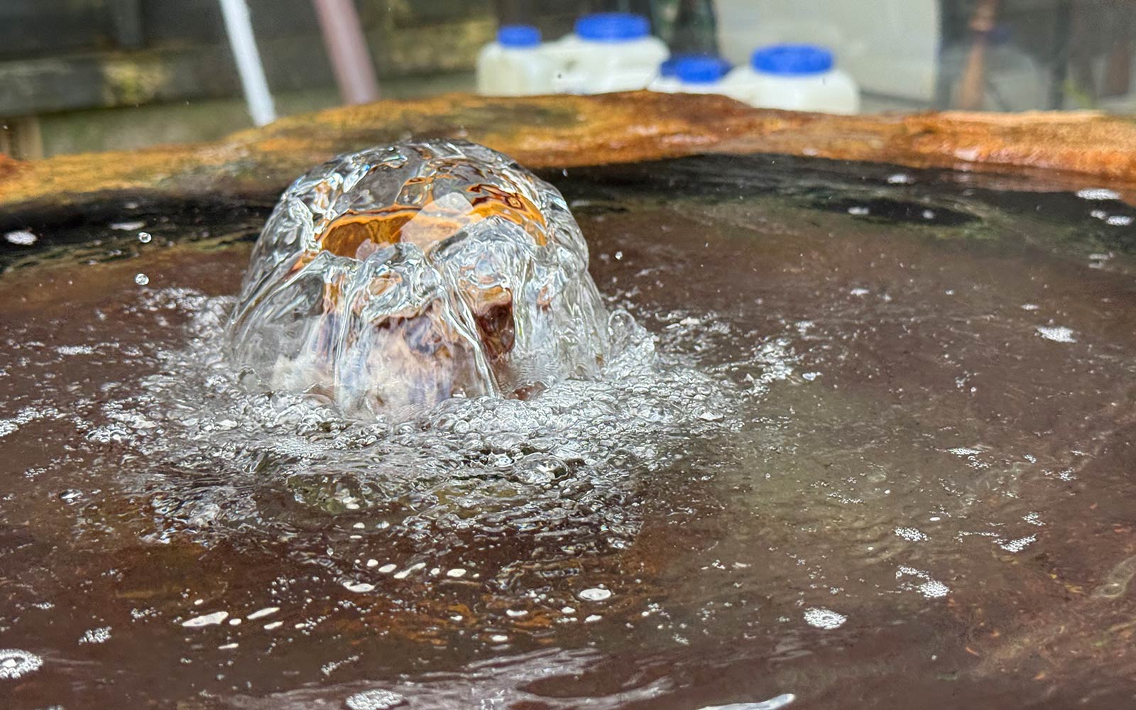 源泉の湧出量は毎分200リットル、温度は62.5℃とかなり高温