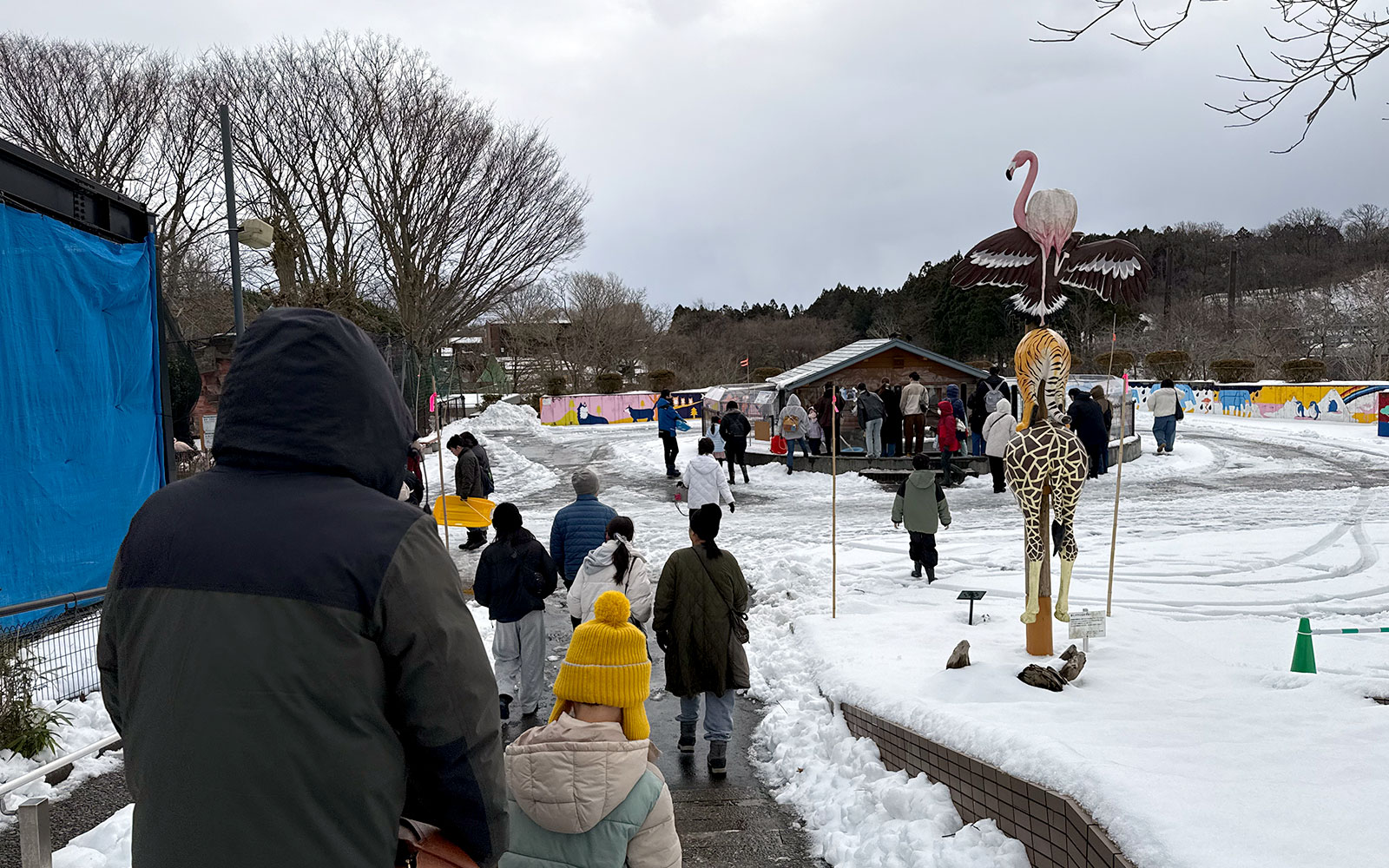 秋田市の冬の風物詩「雪の動物園」