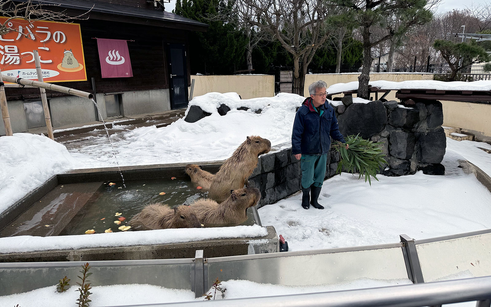 飼育員さんの解説でさらに楽しく