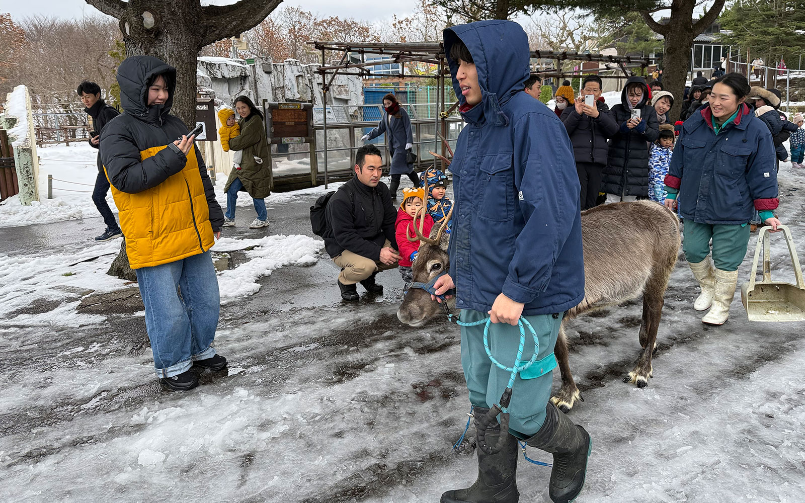 冬のトナカイの「おさんぽタイム」