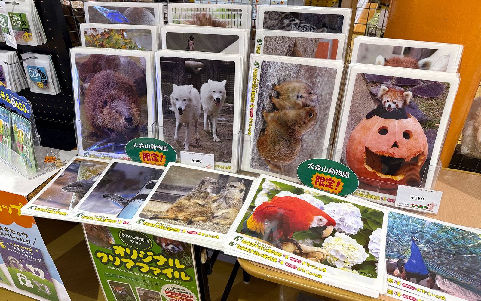 動物園オリジナルのクリアファイル