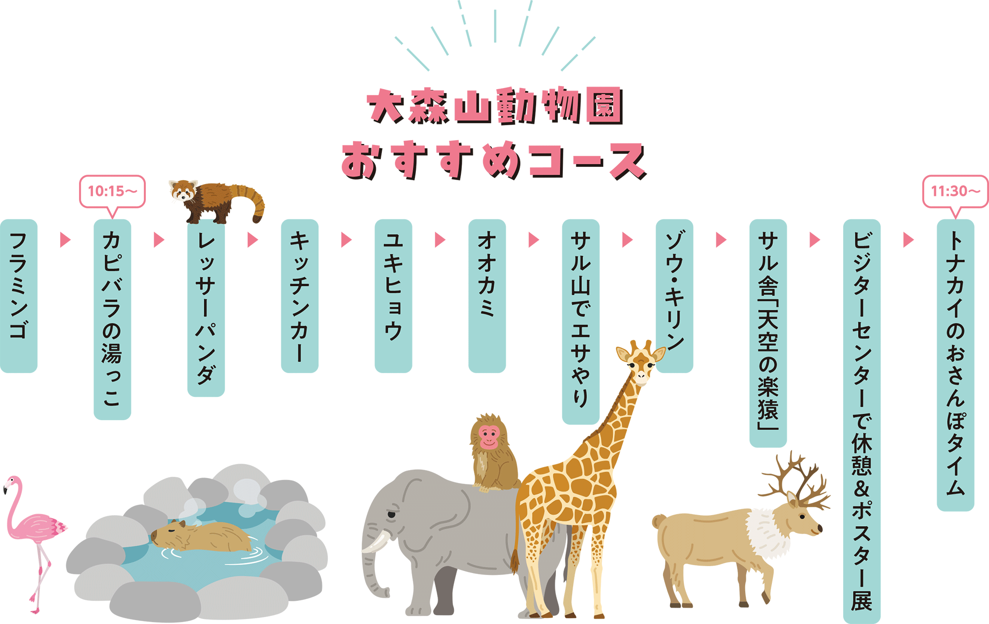 大森山動物園 おすすめコース