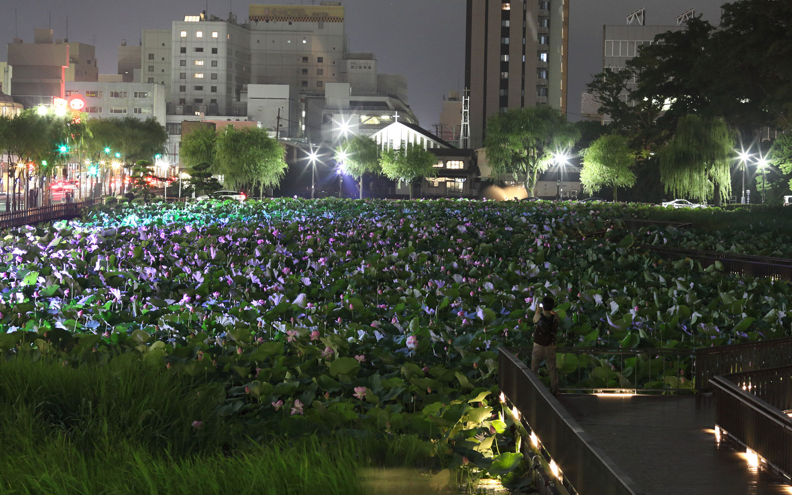 大手門の堀　遊歩道