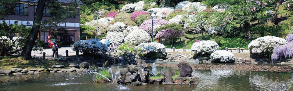 四季を彩る日本庭園「千秋公園」